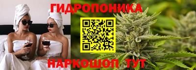 a pvp Обь