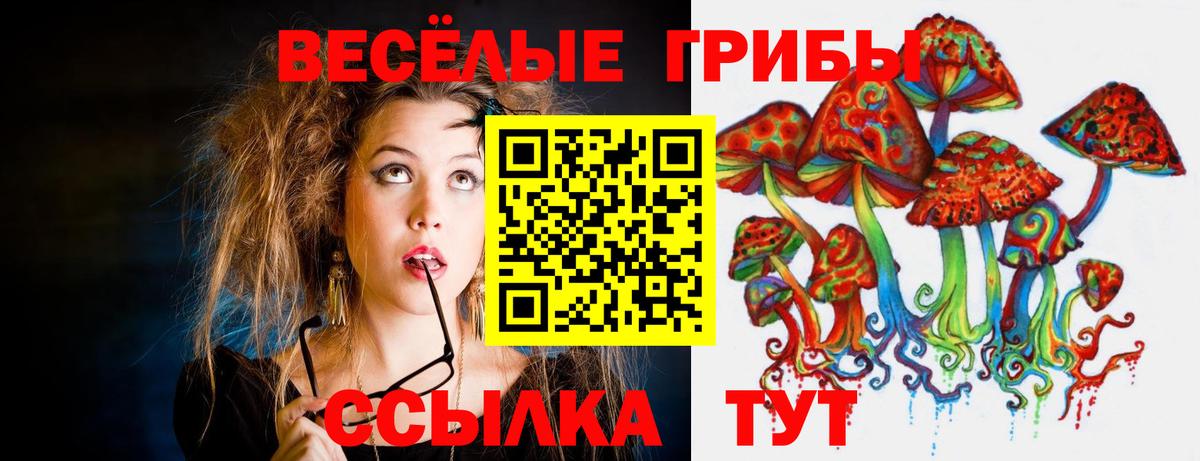 Галлюциногенные грибы прущие грибы  Вход с VPN  Галлюциногенные грибы Magic Shrooms  Ростов-на-Дону 